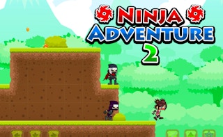 Image Ninja Adventure 2